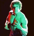 [Picture of Lou Ferrigno]