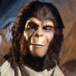 [Picture of Wright King]