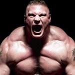 [Picture of Brock Lesnar]