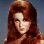 [Picture of (actress) Ann-Margaret]