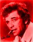 [Picture of Peter Falk]