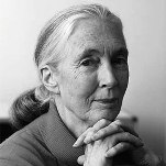 [Picture of Jane Goodall]